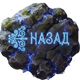 Назад